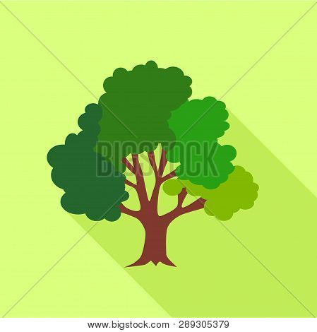 Big Fluffy Tree Icon. Flat Illustration Of Big Fluffy Tree Icon For Web