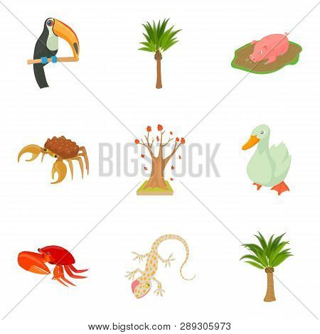 Avifauna Icons Set. Cartoon Set Of 9 Avifauna Icons For Web Isolated On White Background