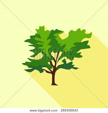 Tree Large Leaves Icon. Flat Illustration Of Tree Large Leaves Icon For Web
