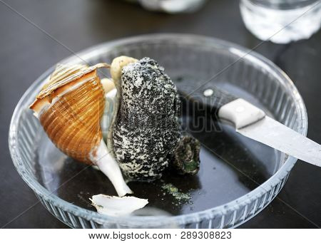 Brocken Large Raw Sea Snail On Glass Plate In Cafe