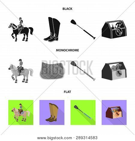 Isolated Object Of Equipment And Riding Icon. Collection Of Equipment And Competition Vector Icon Fo