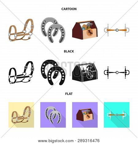 Isolated Object Of Equipment And Riding Icon. Set Of Equipment And Competition Stock Vector Illustra