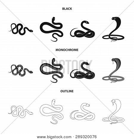 Vector Design Of Mammal And Danger Icon. Set Of Mammal And Medicine Stock Symbol For Web.