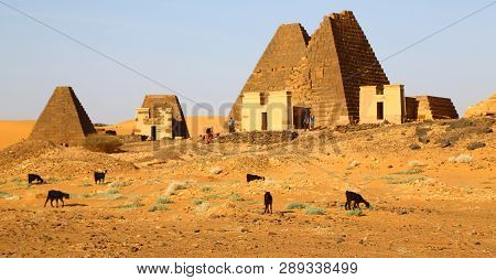 The Antique Pyramids Of The Black Pharaohs
