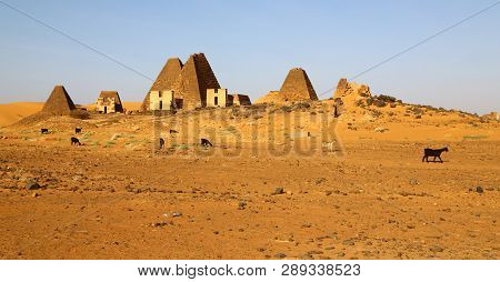 The Antique Pyramids Of The Black Pharaohs