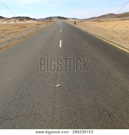 In The Nubian Desert