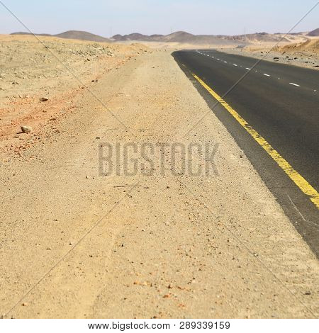 In The Nubian Desert