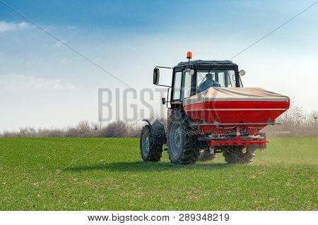 Unrecognizable Farmer In Agricultural Tractor Is Fertilizing Wheat Crop Field With Npk Fertilizer Nu