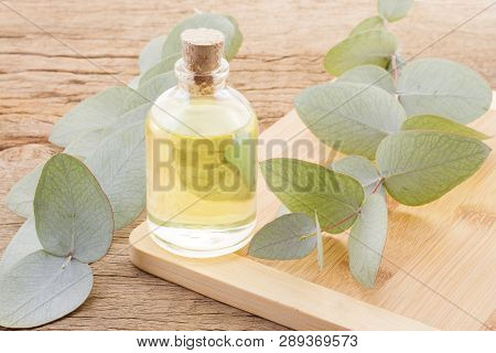Oil And Eucalyptus Leaves On The Wooden Table - Eucalyptus Deglupta
