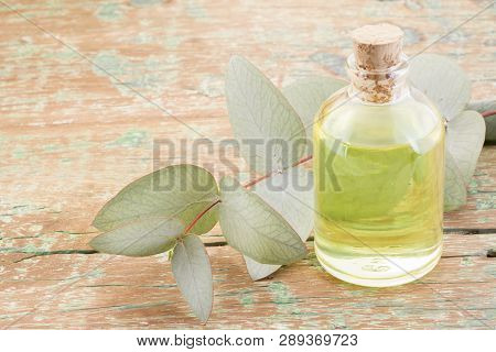 Oil And Eucalyptus Leaves On The Wooden Table - Eucalyptus Deglupta