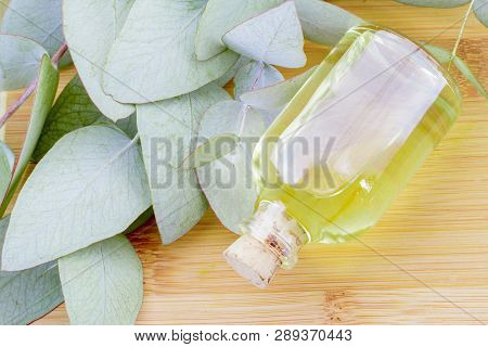 Oil And Eucalyptus Leaves On The Wooden Table - Eucalyptus Deglupta