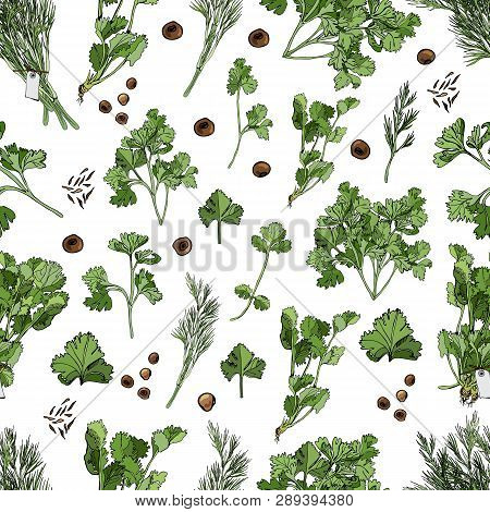 Seamless Pattern Of Different Herbs And Spices. Hand Drawn Ink And Colored Sketch Isolated On White 