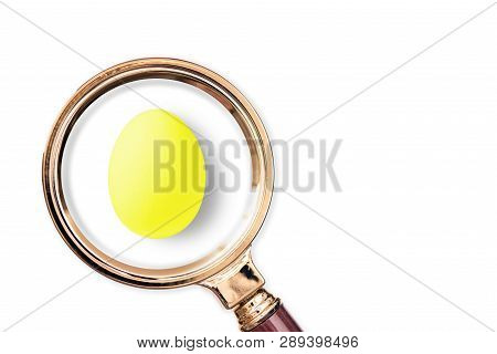 Yellow Egg In The Magnifying Glass. Food Conccept
