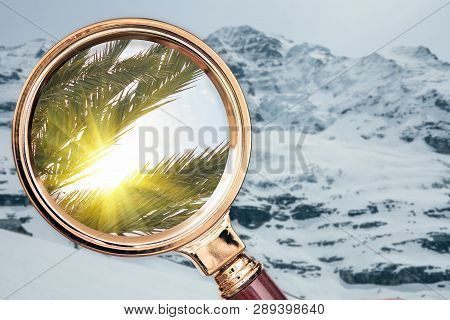 Palm Tree In The Magnifying Glass On The Snow Mountain Background. Summer Concept. Change Seasons