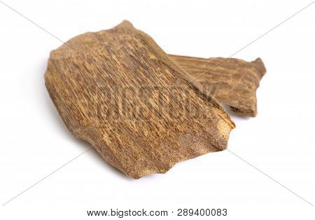 Agarwood, Also Called Aloeswood Oudh, Isolated On White Background