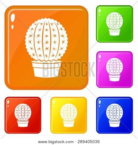 Echinocactus Icons Set Collection Vector 6 Color Isolated On White Background