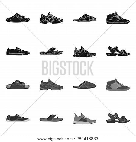 Vector Illustration Of Shoe And Footwear Icon. Collection Of Shoe And Foot Stock Vector Illustration
