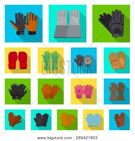 Vector Illustration Of Glove And Winter Icon. Collection Of Glove And Equipment Vector Icon For Stoc