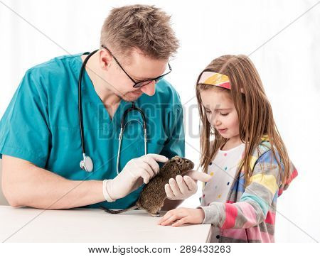 Little pretty girl took her degu to the vet to check his condition, isolated on white background