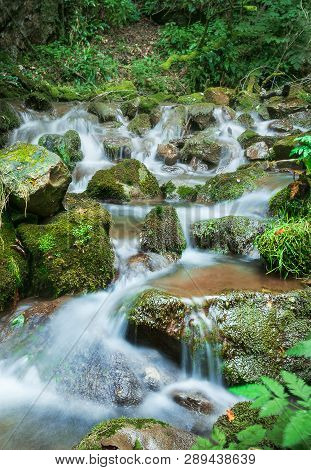 Nature rainforest river cascade. Stream in forest nature. Green forest stream. Nature. Stream. Natural environment. Forest nature. Brook in nature. Nature stream, branches and trees. Travel in nature.