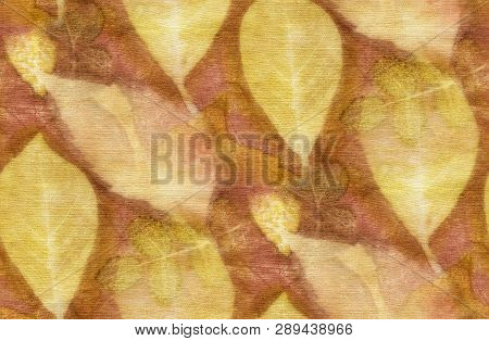 Seamless Botanical Print With Leaf Prints On Natural Silk. Hand-drawn Illustration.2