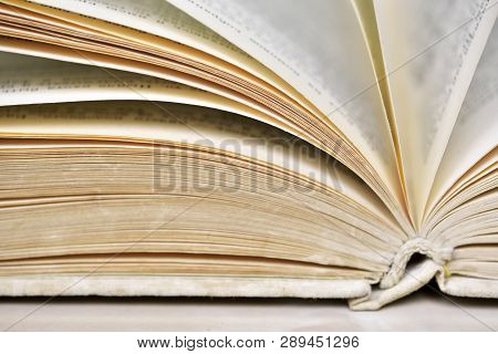 Opened Old Book In A Bright Cover Lies On The Table Close-up Design Blank For The Project