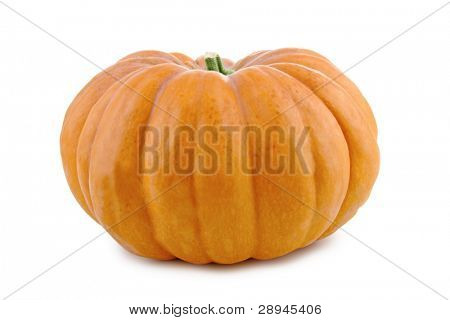 zucca isolato su bianco