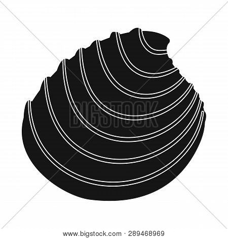 Vector Illustration Of Nature  And Ocean Logo. Collection Of Nature  And Mollusk Vector Icon For Sto