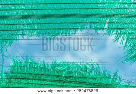 The Old Green Sun Protection Mesh And Lack. Can Not Prevent Sunlight.