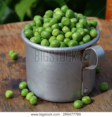 Full Vintage Aluminum Mug Of Fresh Green Peas