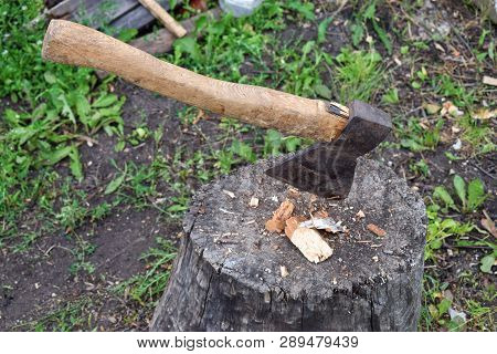 Old Metal Ax In Trump With Wood Chips Close Up At Garden