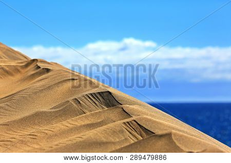 Maspalomas The Sand Dunes On Gran Canaria