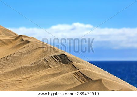 Maspalomas The Sand Dunes On Gran Canaria