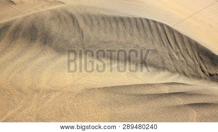 Maspalomas The Sand Dunes On Gran Canaria