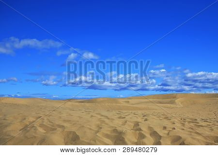 Maspalomas The Sand Dunes On Gran Canaria