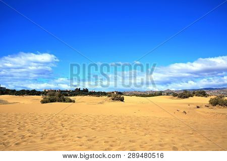 Maspalomas The Sand Dunes On Gran Canaria