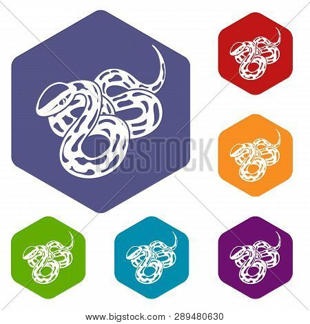 Texas Snake Icons Vector Colorful Hexahedron Set Collection Isolated On White