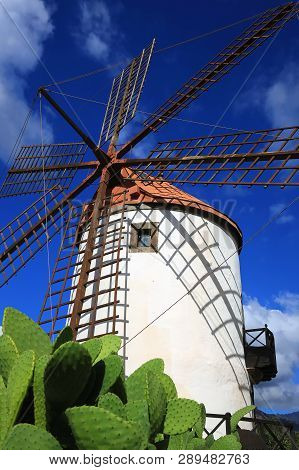 Windmill On Gran Canaria