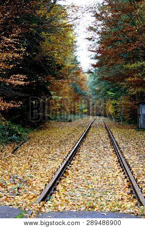 Schienen Im Herbst Railroad Tracks In The Fall