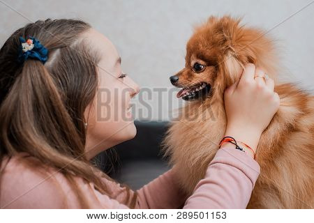 Teenage Girl With A Dog Breed Spitz Rejoices With A Pet At Home On The Floor. Care And Training Of A