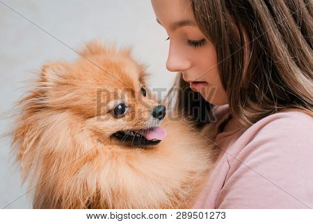 Teenage Girl With A Dog Breed Spitz Rejoices With A Pet At Home On The Floor. Care And Training Of A