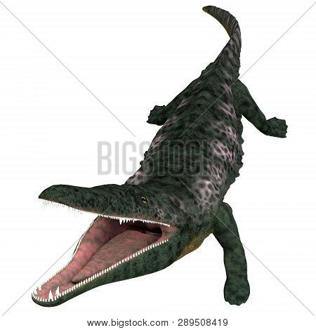 Archegosaurus Amphibian Head 3d Illustration - Archegosaurus Was A Carnivorous Amphibian That Lived 