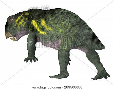 Lystrosaurus Dinosaur Tail 3d Illustration - Lystrosaurus Was A Dicynodont Therapsid Herbivore Dinos