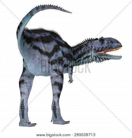 Majungasaurus Dinosaur Tail 3d Illustration - Majungasaurus Was A Carnivorous Theropod Dinosaur That
