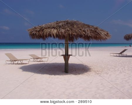 Palme Sonnenschirm am Strand