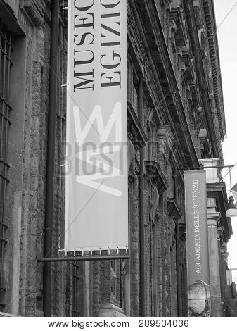 Egyptian Museum (museo Egizio) In Turin In Black And White