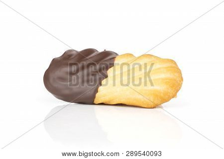 One Whole Lazy Cookie With Chocolate Isolated On White Background