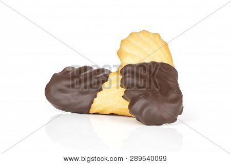 Group Of Two Whole Lazy Cookie With Chocolate Isolated On White Background