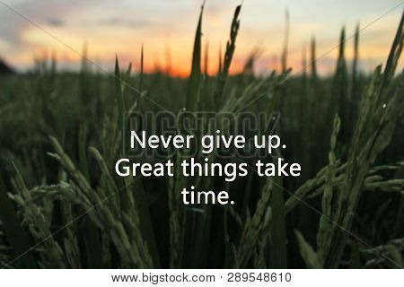 Inspirational Motivational Quote-never Give Up. Great Things Take Time. With Green Paddy Field And C