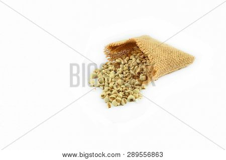 Job's Tears Coix Lachryma Jobi Grain Seeds In Sack Isolated On White Background